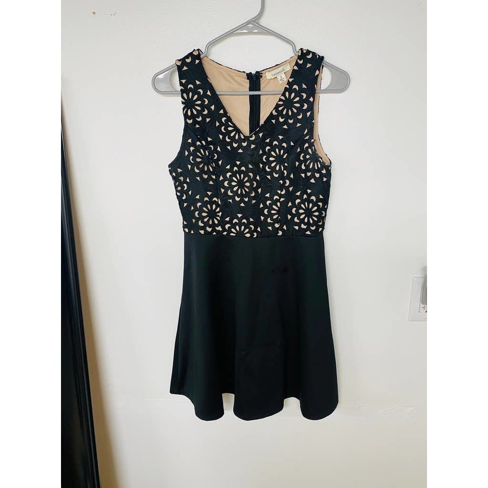 Francescas Black and Tan Dress